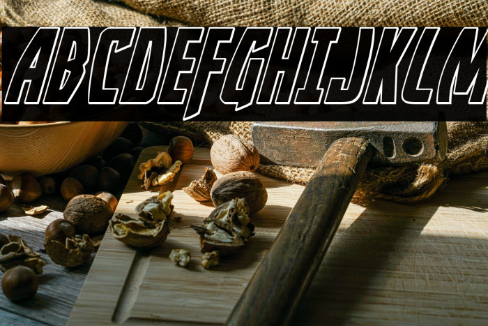 Yankee Clipper Outline Italic Example 3