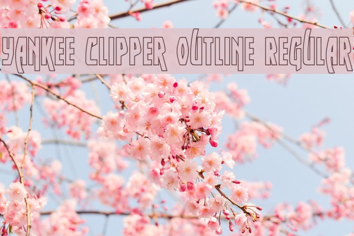 Yankee Clipper Outline Regular Font examples