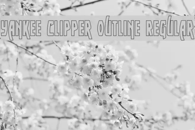 Yankee Clipper Outline Regular フォント examples