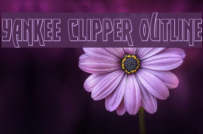 Yankee Clipper Outline Font examples