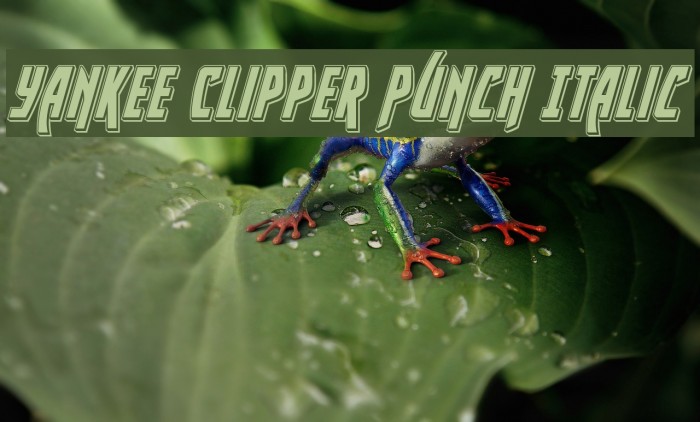 Yankee Clipper Punch Italic Font examples