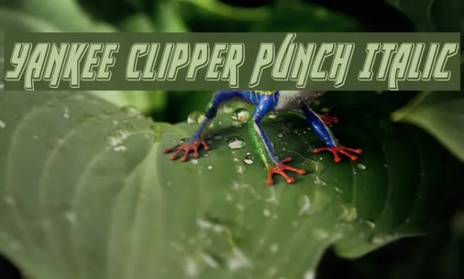 Yankee Clipper Punch Italic Example 2