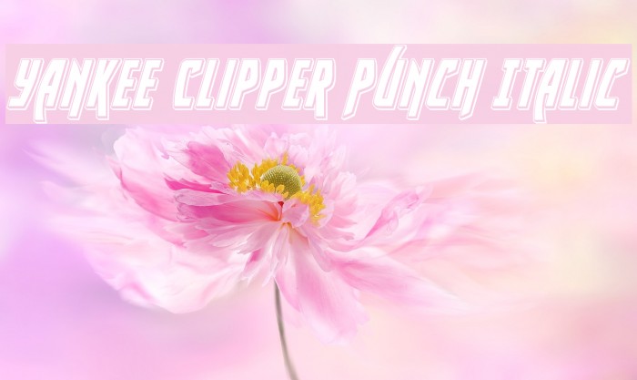 Yankee Clipper Punch Italic Font examples