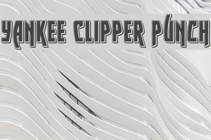 Yankee Clipper Punch Example 2