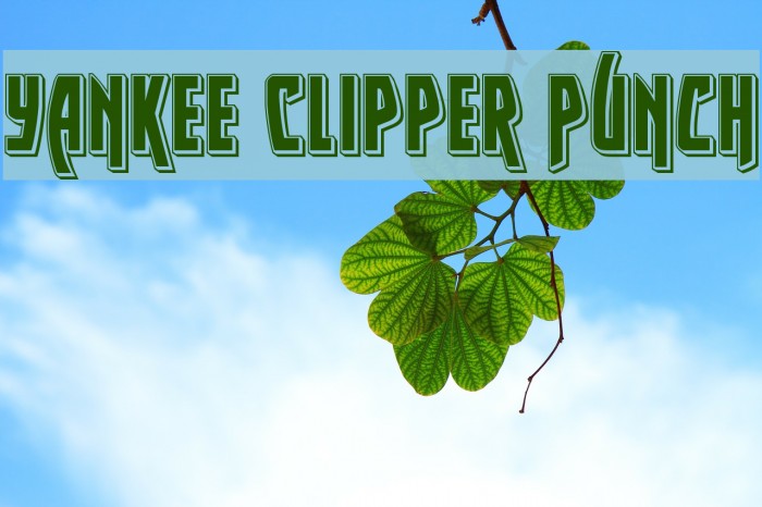 Yankee Clipper Punch Example 3