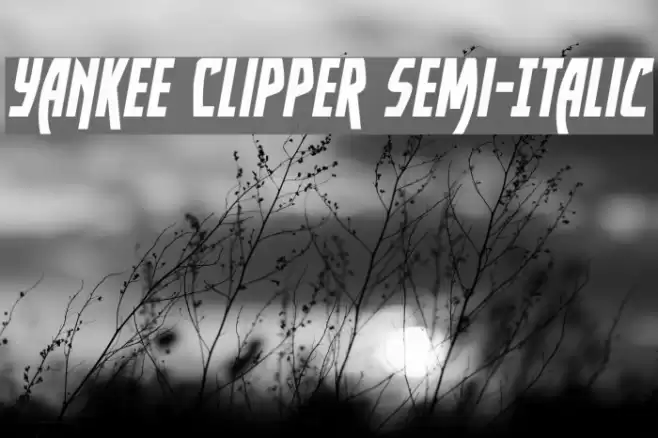 Yankee Clipper Semi-Italic Font examples