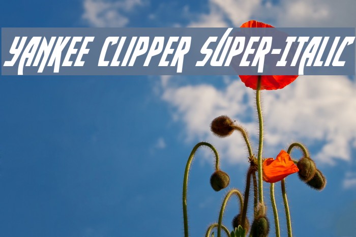 Yankee Clipper Super-Italic Example 3