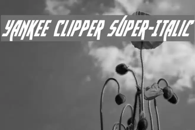 Yankee Clipper Super-Italic Font examples