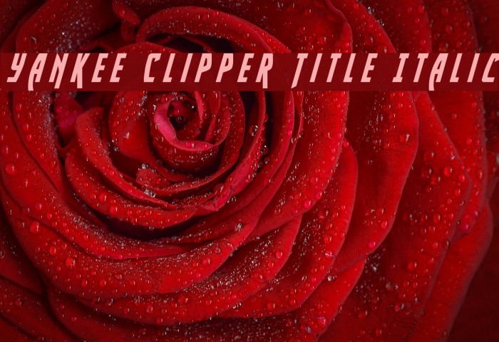 Yankee Clipper Title Italic Font examples
