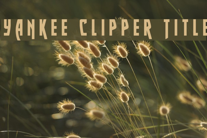 Yankee Clipper Title Font examples