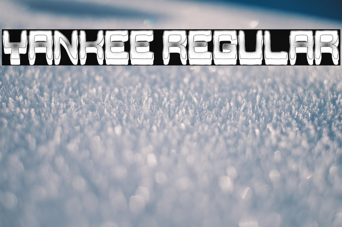 Yankee Regular Example 1