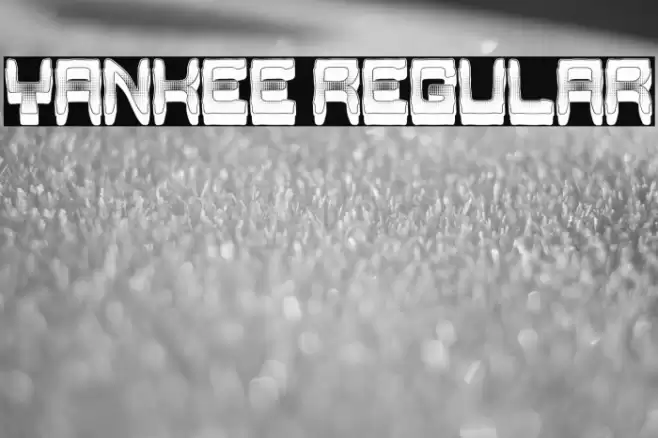 Yankee Regular Font examples