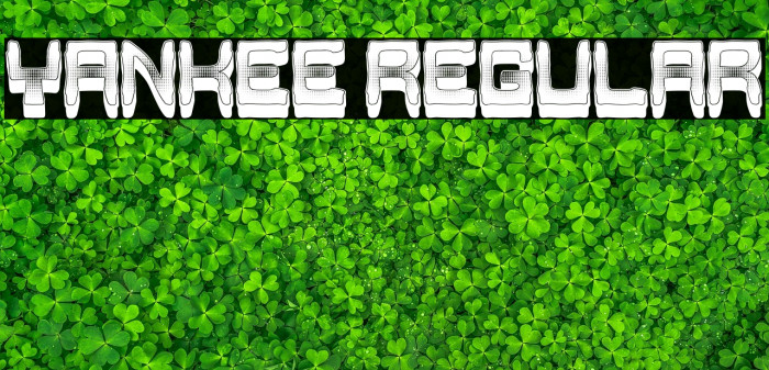 Yankee Regular Example 2