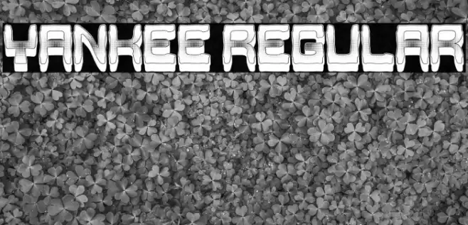 Yankee Regular Font examples