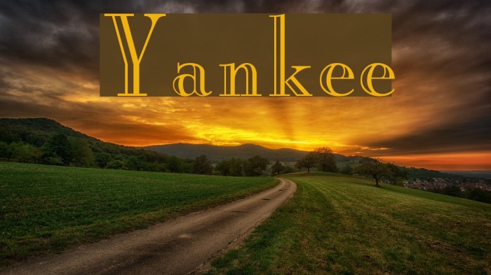 Yankee Font examples