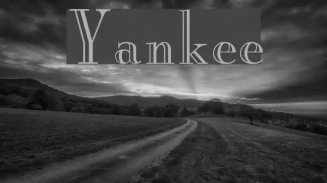 Yankee Polices examples