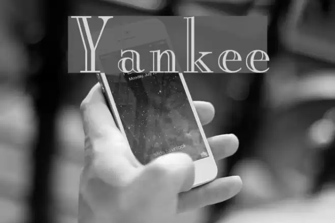 Yankee Polices examples