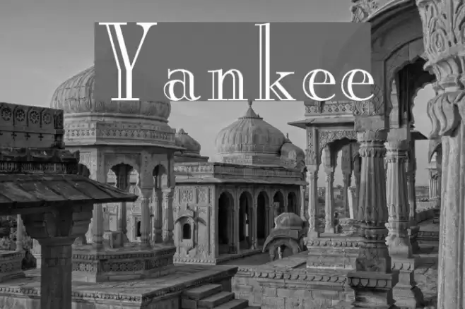 Yankee Polices examples