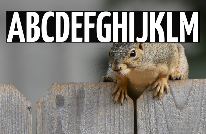 Yanone Kaffeesatz Bold Example 1