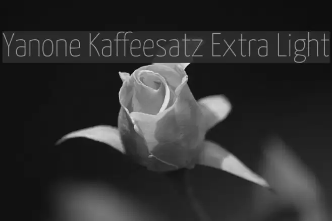 Yanone Kaffeesatz Extra Light Font examples