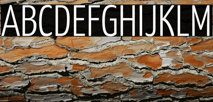 Yanone Kaffeesatz Light Example 2