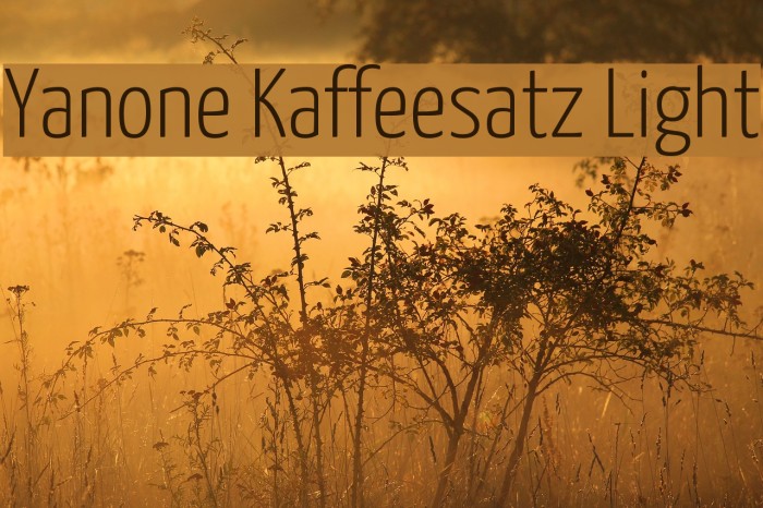 Yanone Kaffeesatz Light Font examples