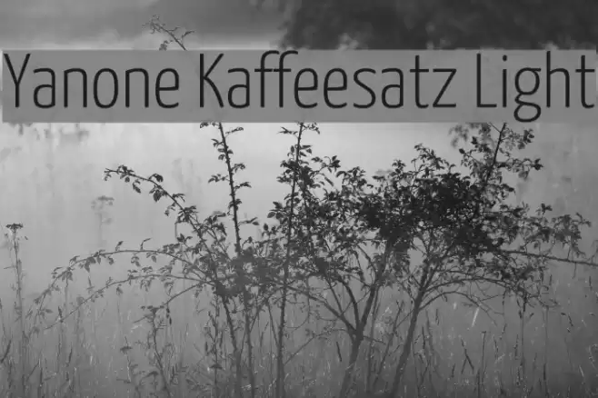 Yanone Kaffeesatz Light Fonte examples
