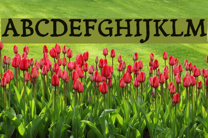 Yanone Tagesschrift Font examples