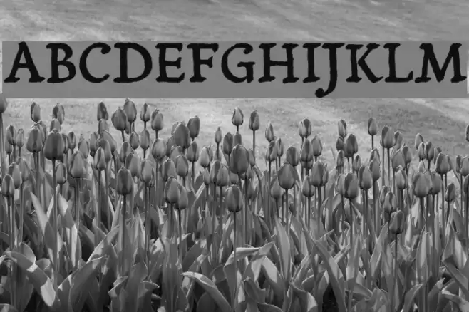 Yanone Tagesschrift Font examples