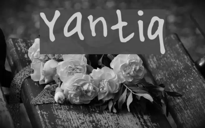 Yantiq Font examples