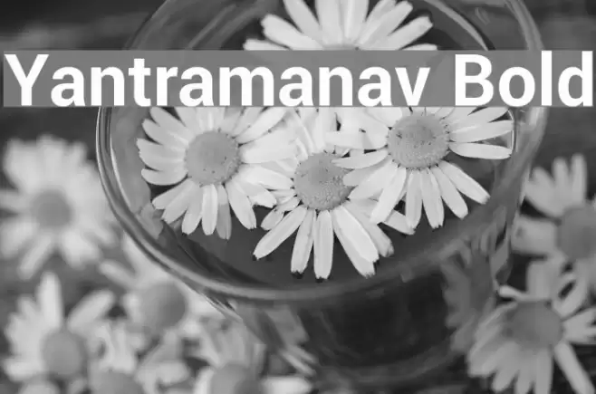 Yantramanav Bold Font examples