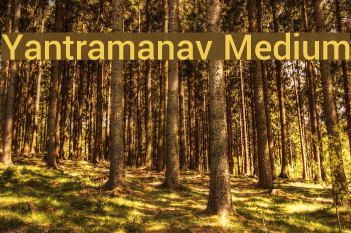 Yantramanav Medium Font examples