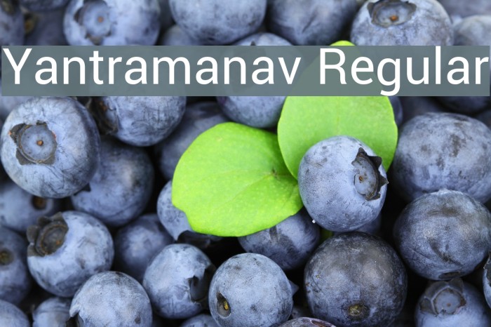 Yantramanav Regular Font examples