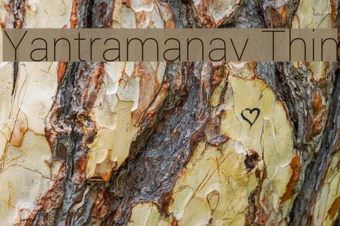 Yantramanav Thin Font examples