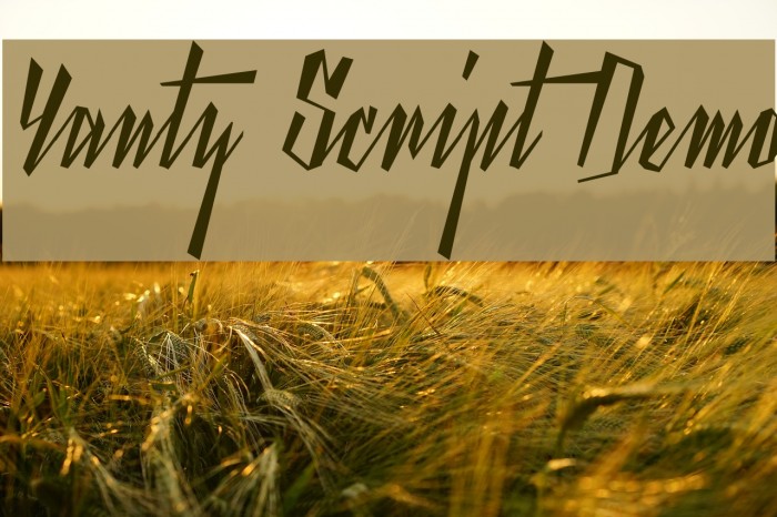 Yanty Script Demo Font examples