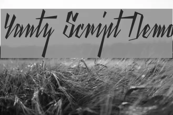 Yanty Script Demo Font examples