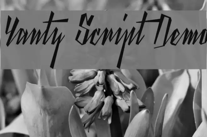Yanty Script Demo Font examples