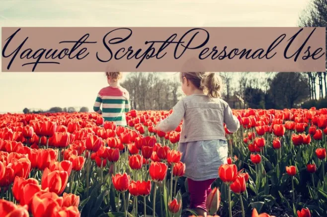 Yaquote Script Personal Use Example 3