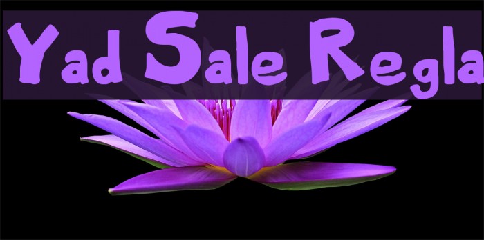 Yard Sale Regular Font examples