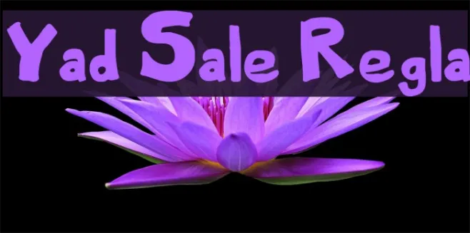 Yard Sale Regular Example 1