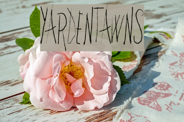 YardenTawns Example 1