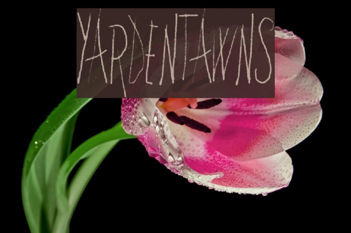 YardenTawns Example 3