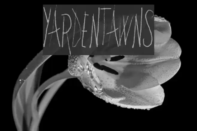 YardenTawns Font examples