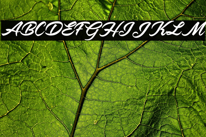 Yardley Personal Use Example 2