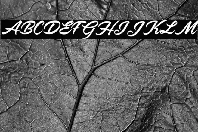 Yardley Personal Use Font examples