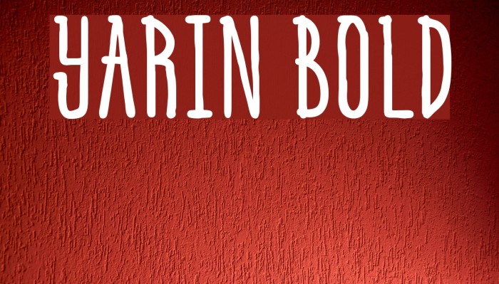 Yarin Bold Font examples