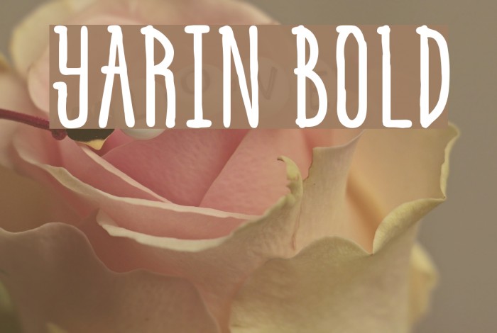 Yarin Bold Font examples