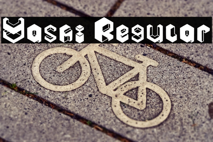 Yashi Regular Example 1