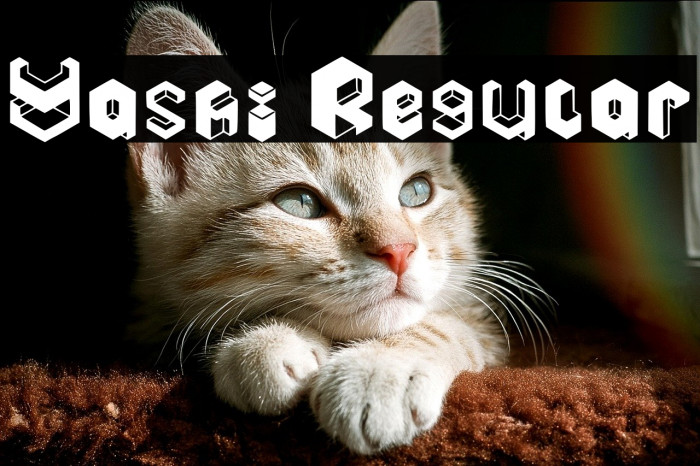 Yashi Regular Example 2