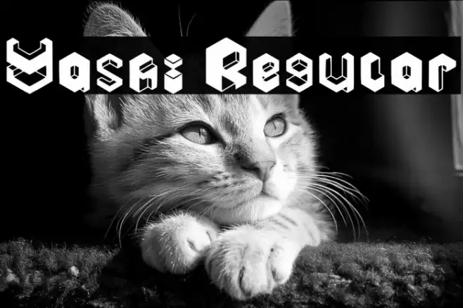 Yashi Regular Font examples